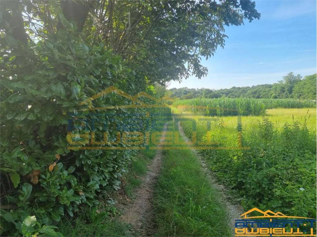 immagine annuncio 3 di 12