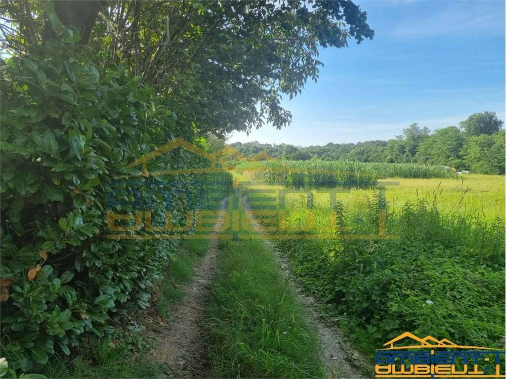 immagine annuncio 4 di 12