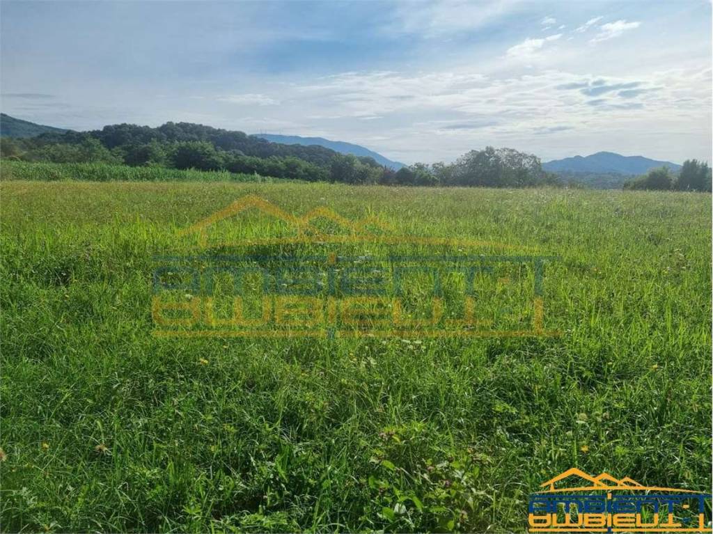 immagine annuncio 5 di 12