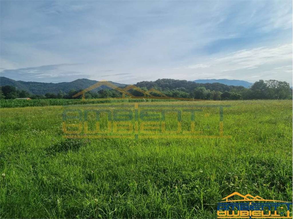 immagine annuncio 7 di 12