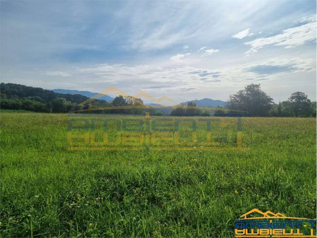 immagine annuncio 8 di 12