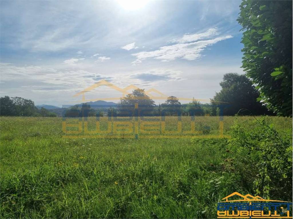 immagine annuncio 9 di 12