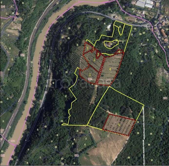 immagine annuncio 10 di 13