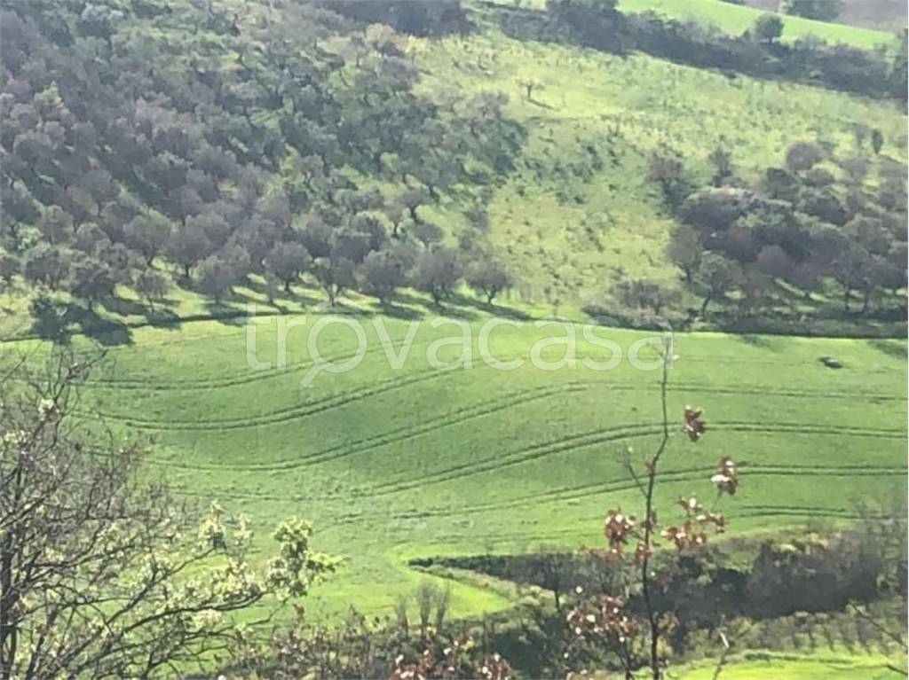 immagine annuncio 4 di 8