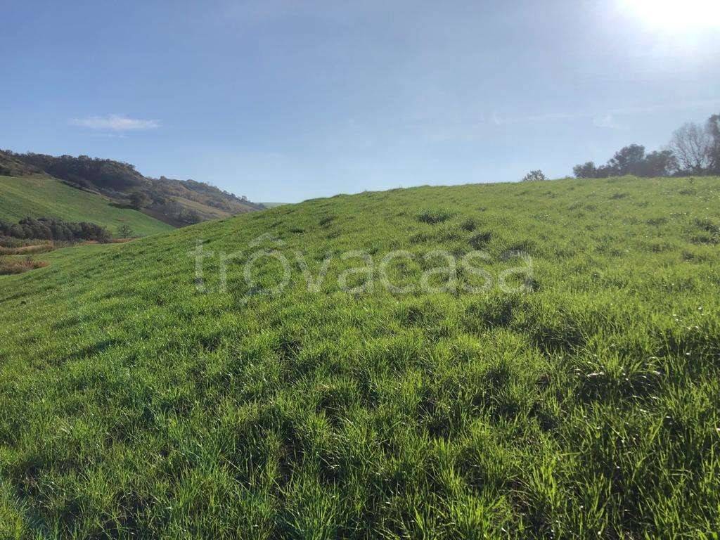 immagine annuncio 6 di 8