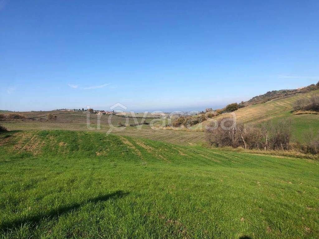 immagine annuncio 7 di 8