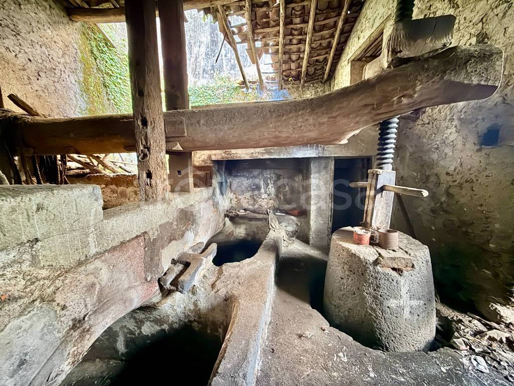 immagine annuncio 5 di 9