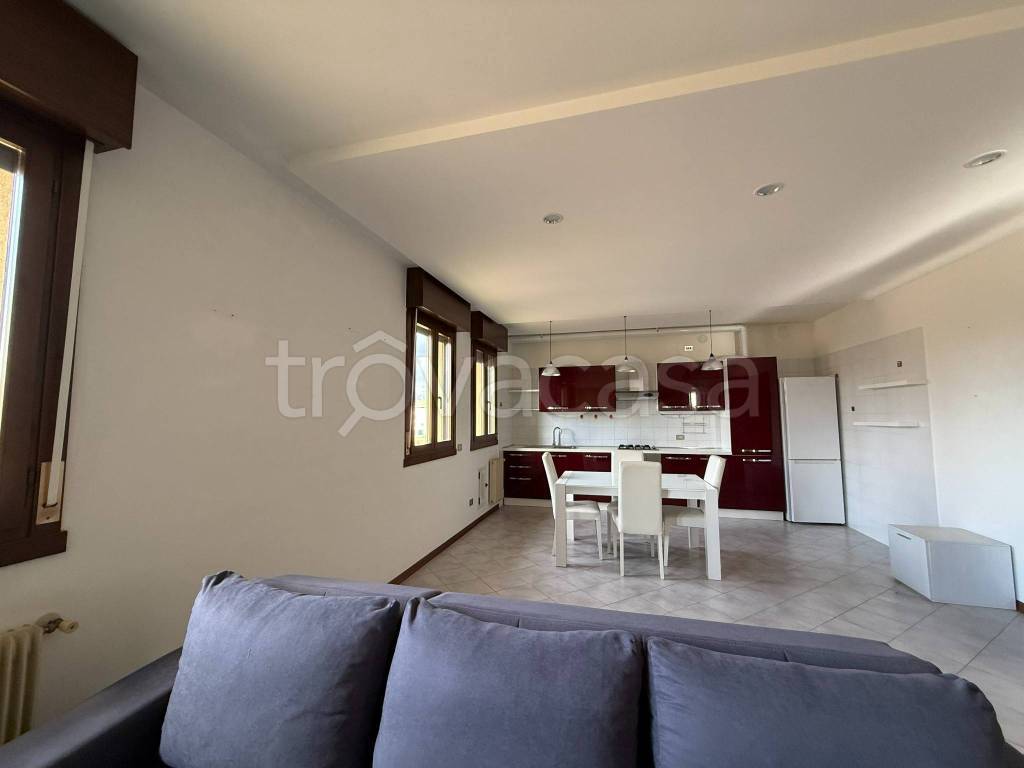 immagine annuncio 6 di 14