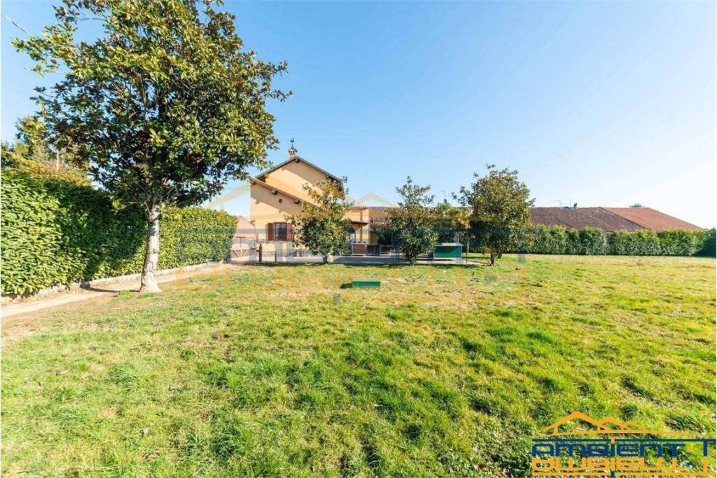 immagine annuncio 10 di 15