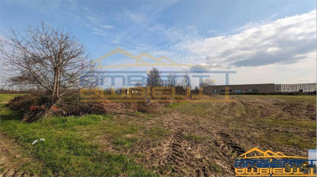 immagine annuncio 3 di 11