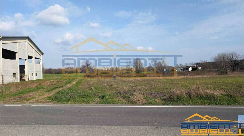 immagine annuncio 4 di 11