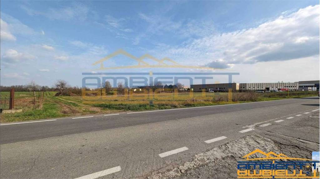 immagine annuncio 5 di 11