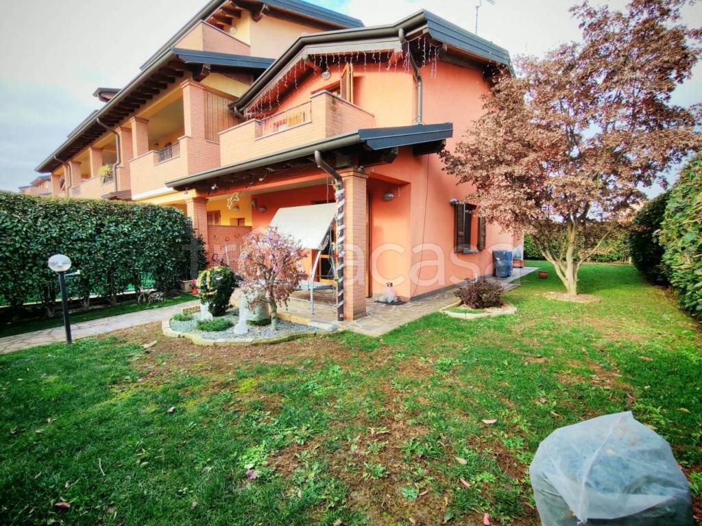 immagine annuncio 12 di 15