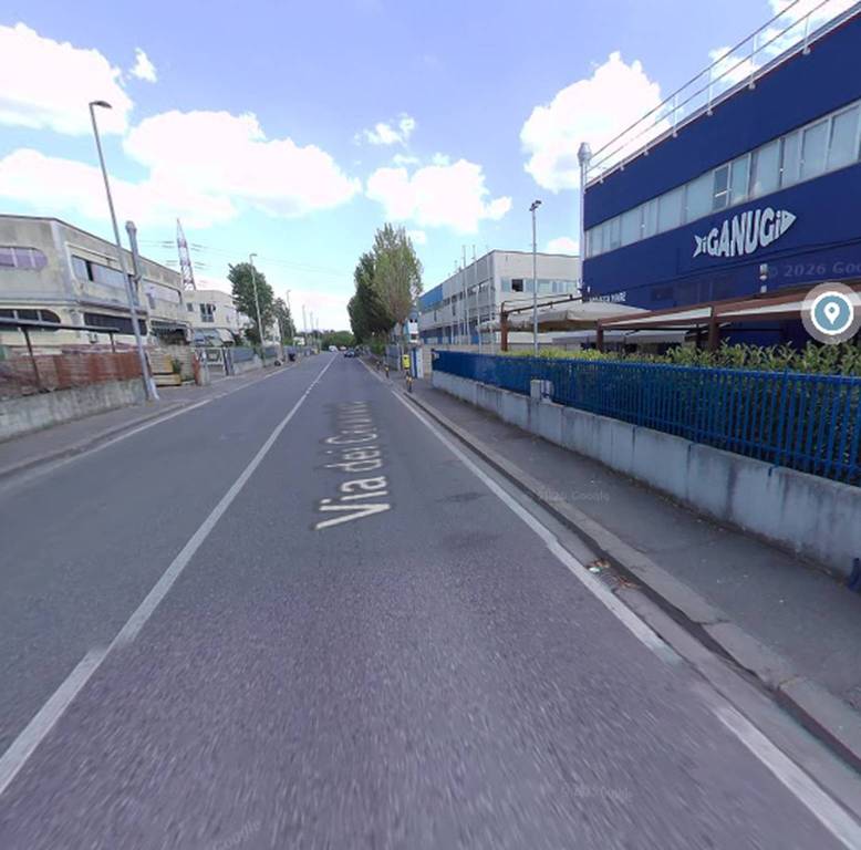 immagine annuncio 1 di 11