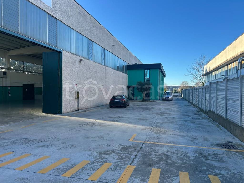 immagine annuncio 2 di 6