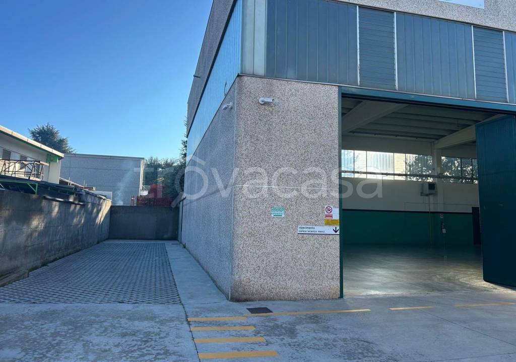 immagine annuncio 3 di 6