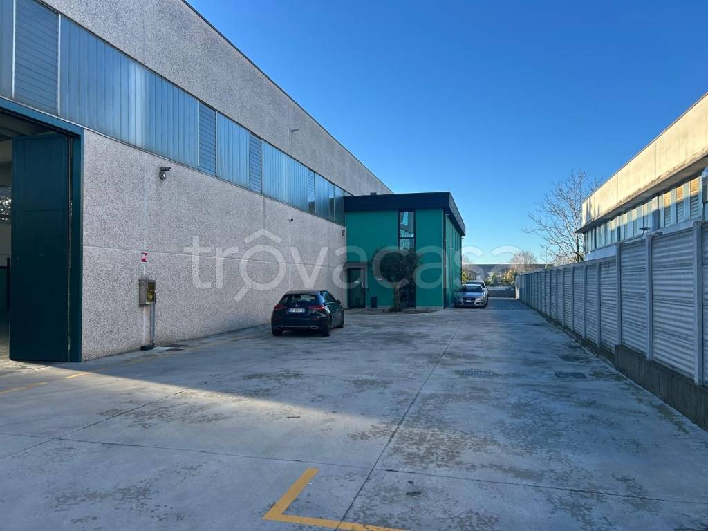 immagine annuncio 4 di 6