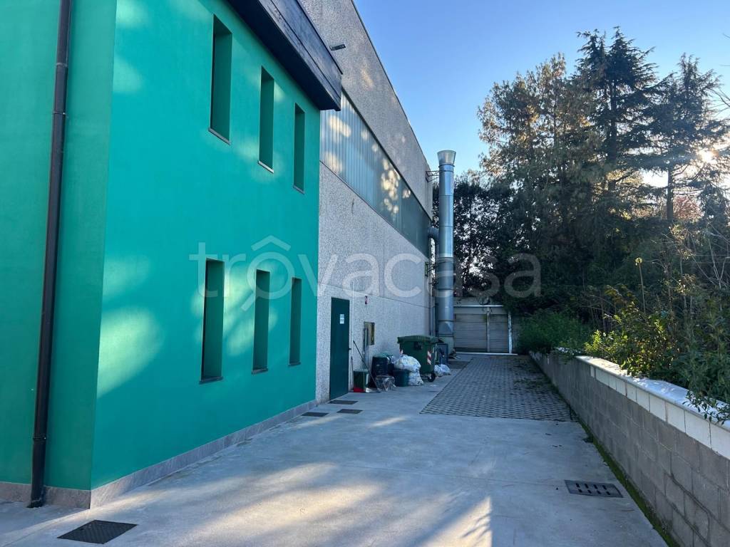 immagine annuncio 5 di 6