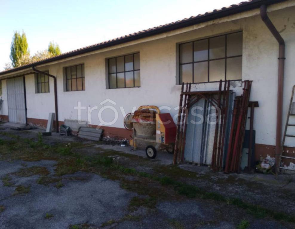 immagine annuncio 5 di 10