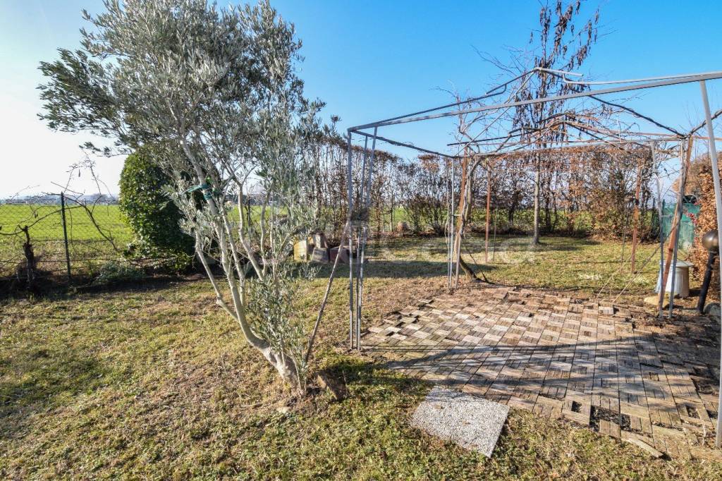 immagine annuncio 12 di 14