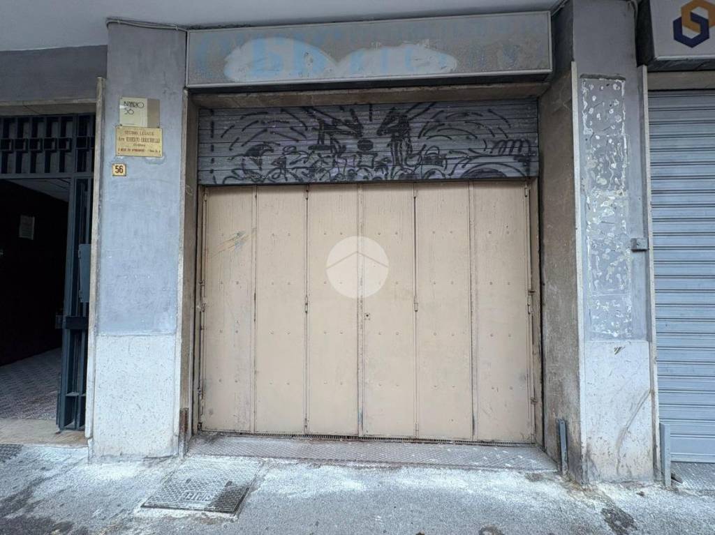 immagine annuncio 4 di 14