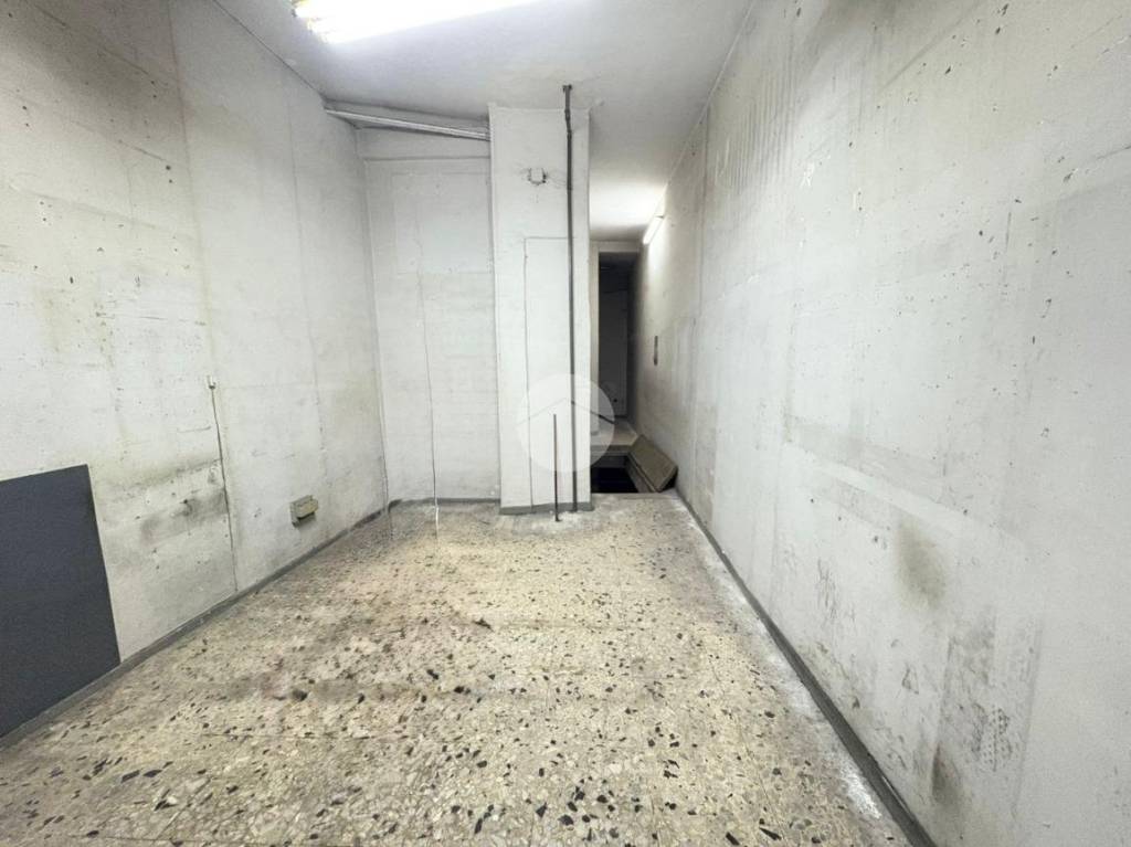 immagine annuncio 7 di 14