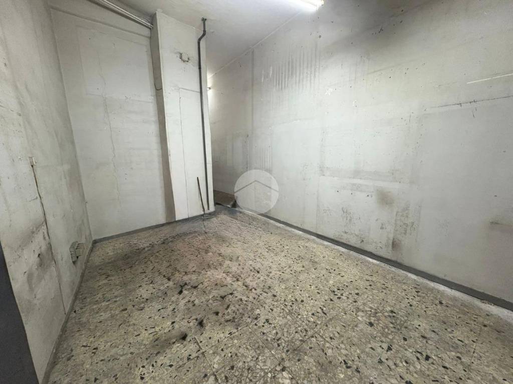 immagine annuncio 6 di 14