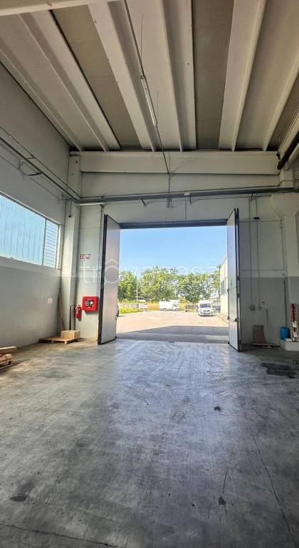 immagine annuncio 4 di 6