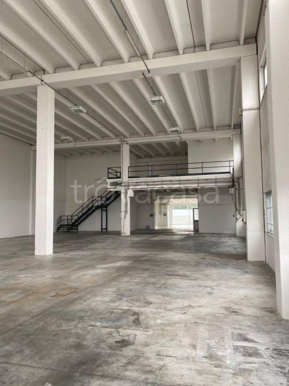 immagine annuncio 9 di 13