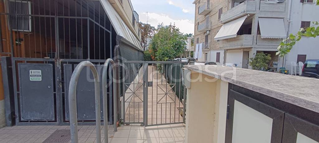 immagine annuncio 2 di 14