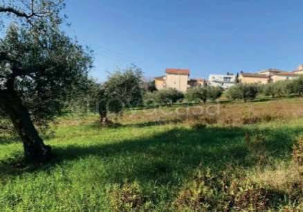 immagine annuncio 1 di 8