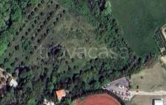 immagine annuncio 6 di 8