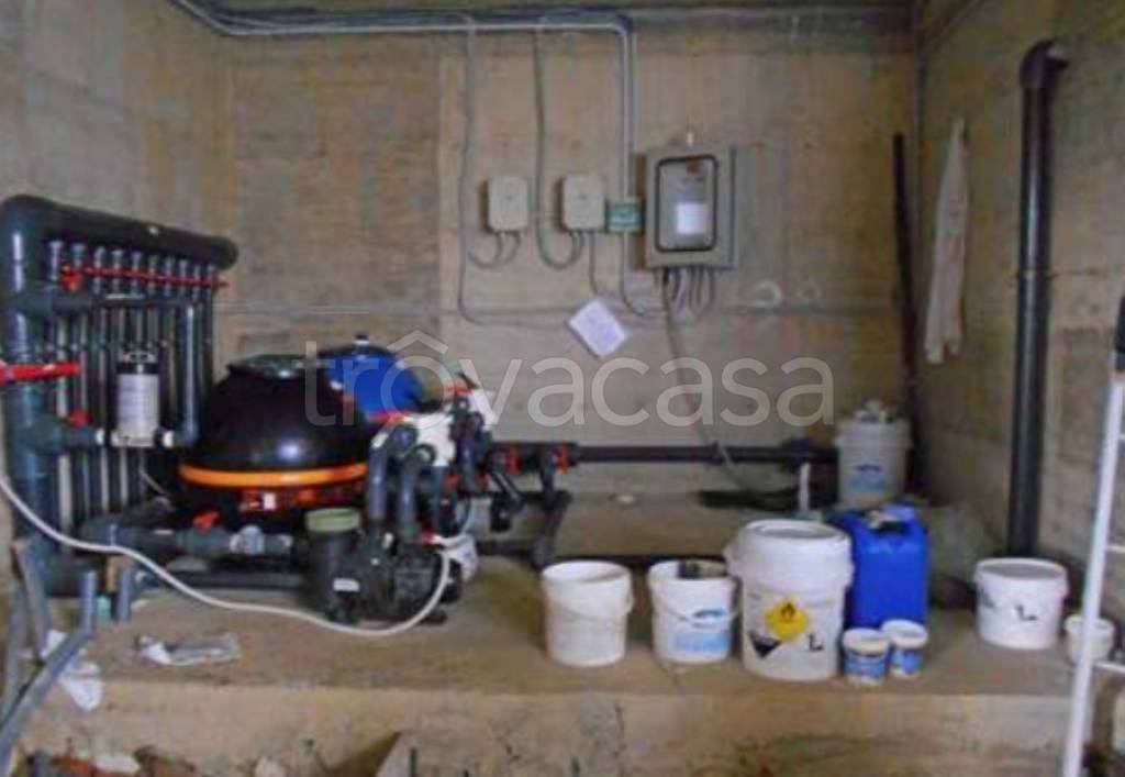 immagine annuncio 2 di 12