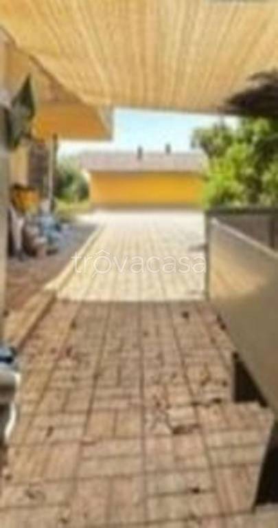 immagine annuncio 6 di 11