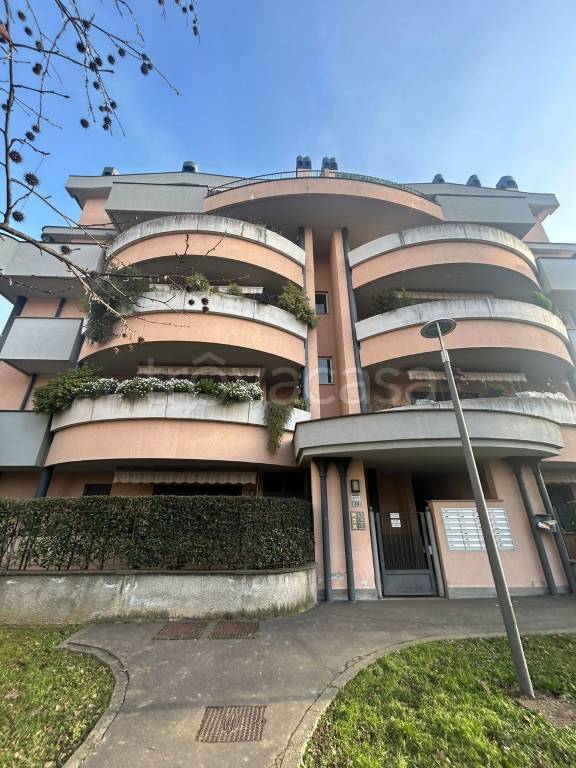 immagine annuncio 1 di 15