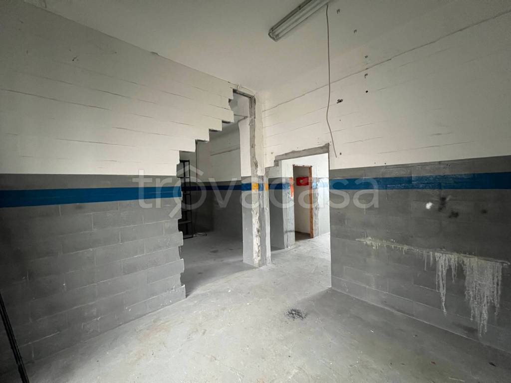 immagine annuncio 7 di 14