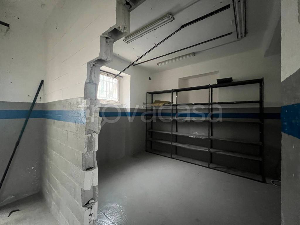 immagine annuncio 5 di 14