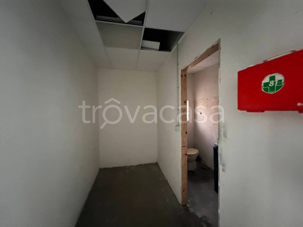 immagine annuncio 11 di 14