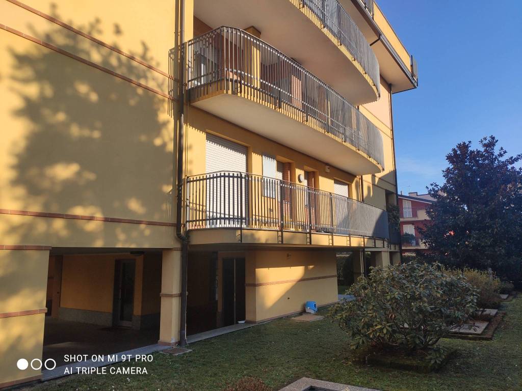 immagine annuncio 14 di 15