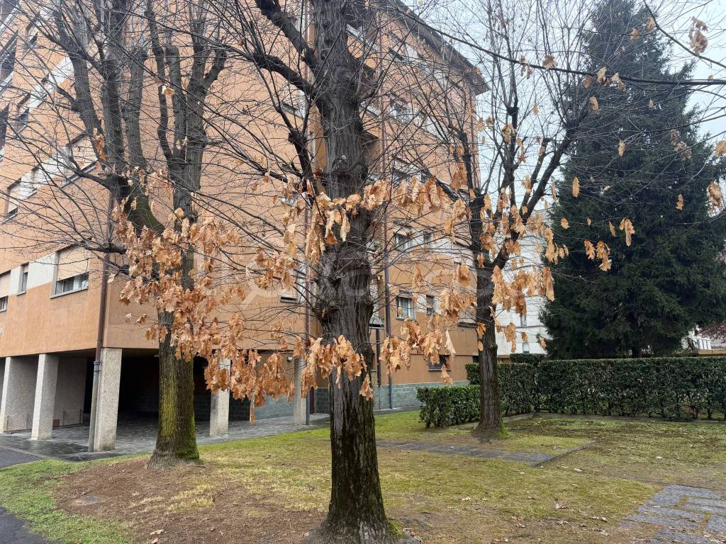 immagine annuncio 6 di 15