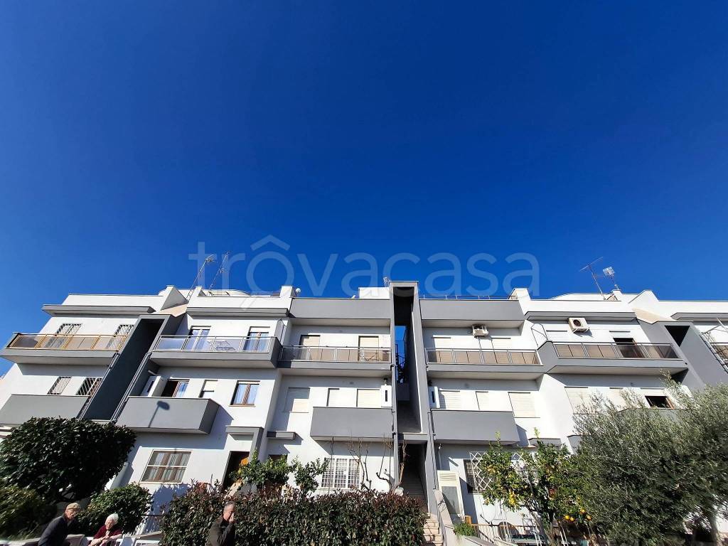 immagine annuncio 10 di 12