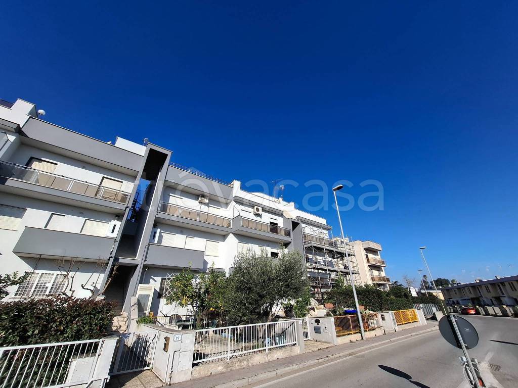 immagine annuncio 11 di 12