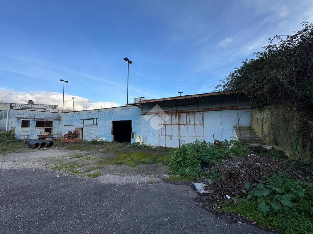 immagine annuncio 10 di 15