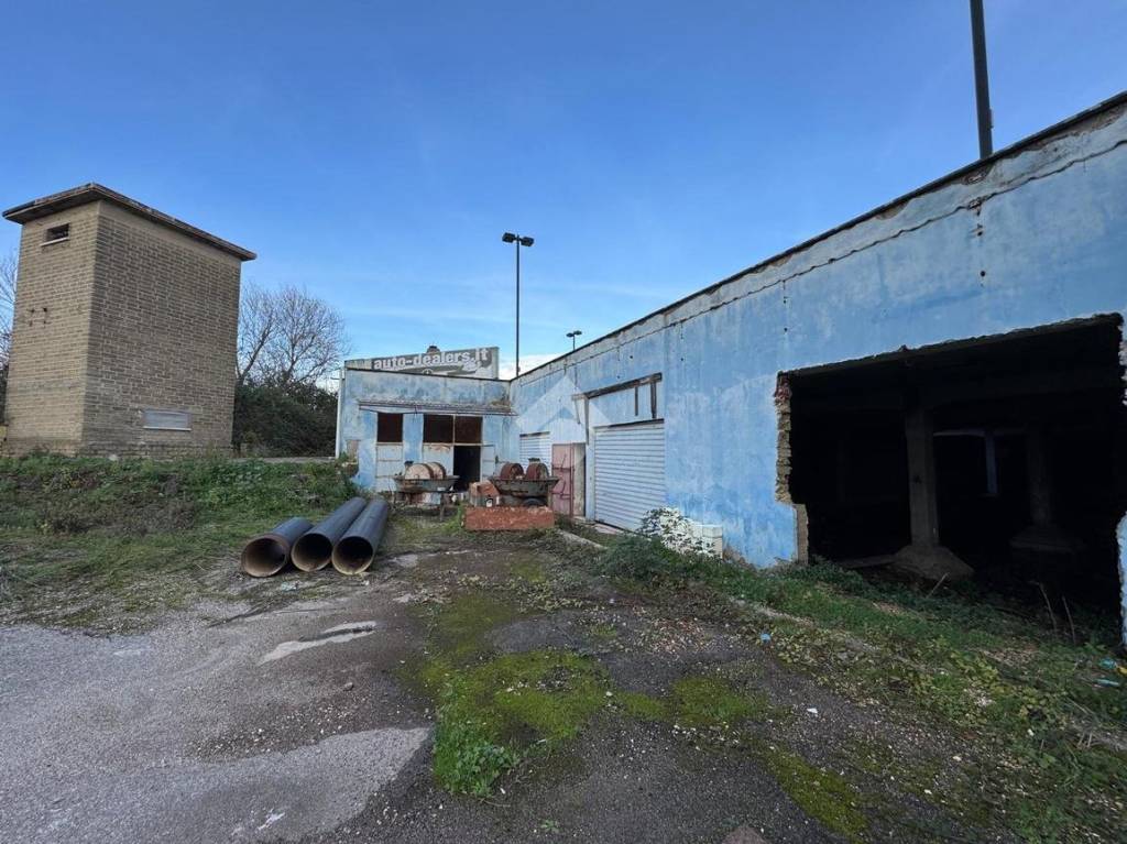 immagine annuncio 11 di 15