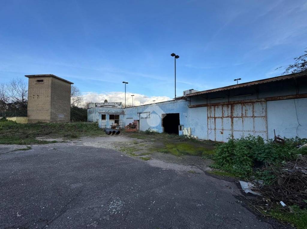 immagine annuncio 12 di 15