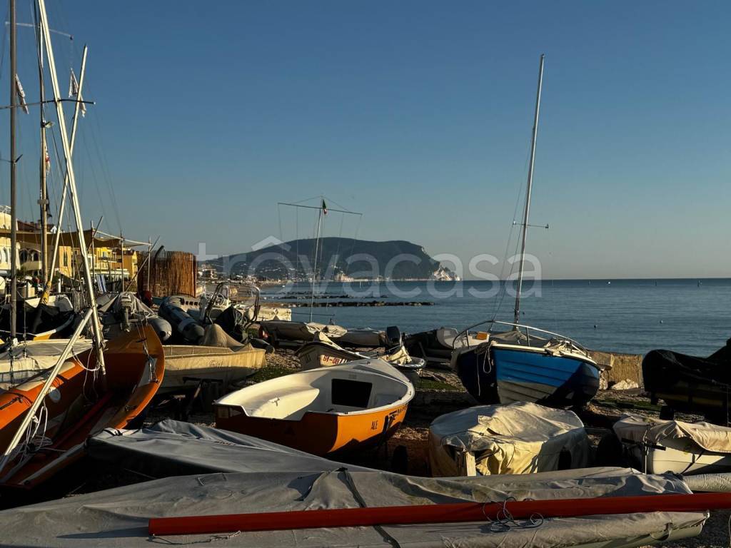 immagine annuncio 9 di 14