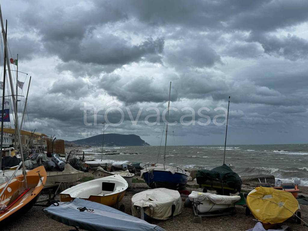 immagine annuncio 11 di 14