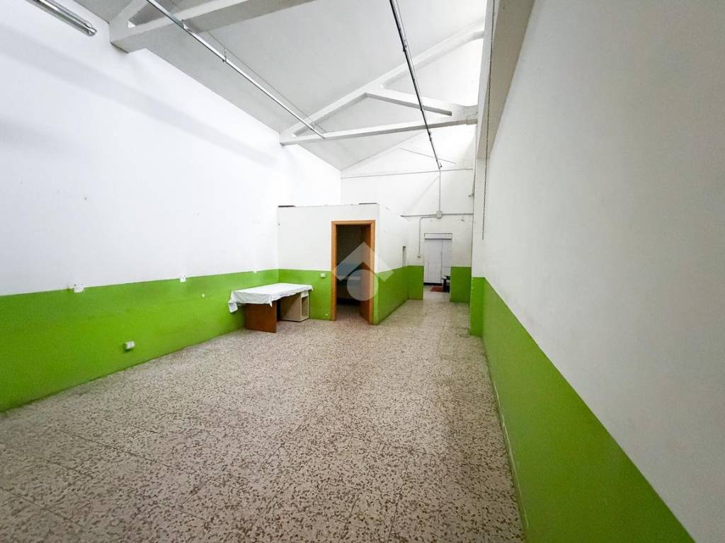 immagine annuncio 2 di 12