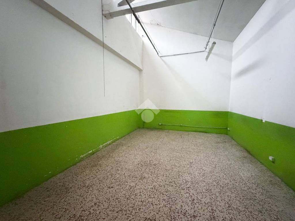 immagine annuncio 9 di 12