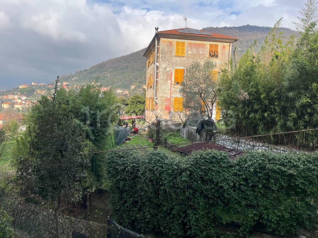 immagine annuncio 1 di 9